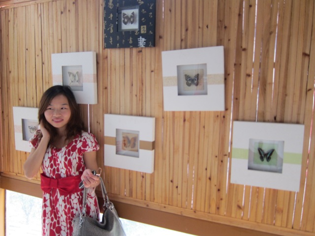 松山湖蝴蝶文化展-38